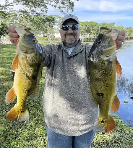 Guide Ron with two large peacock bass