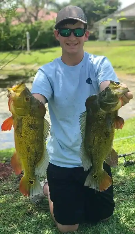 Jake with two big male peacock bass