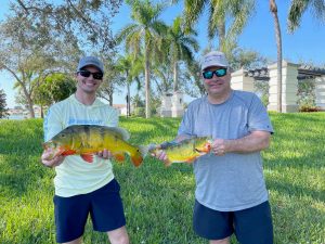 Peacock bass fishing Davie