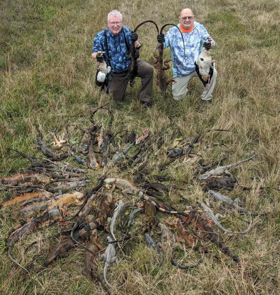 successful Iguana hunting charter