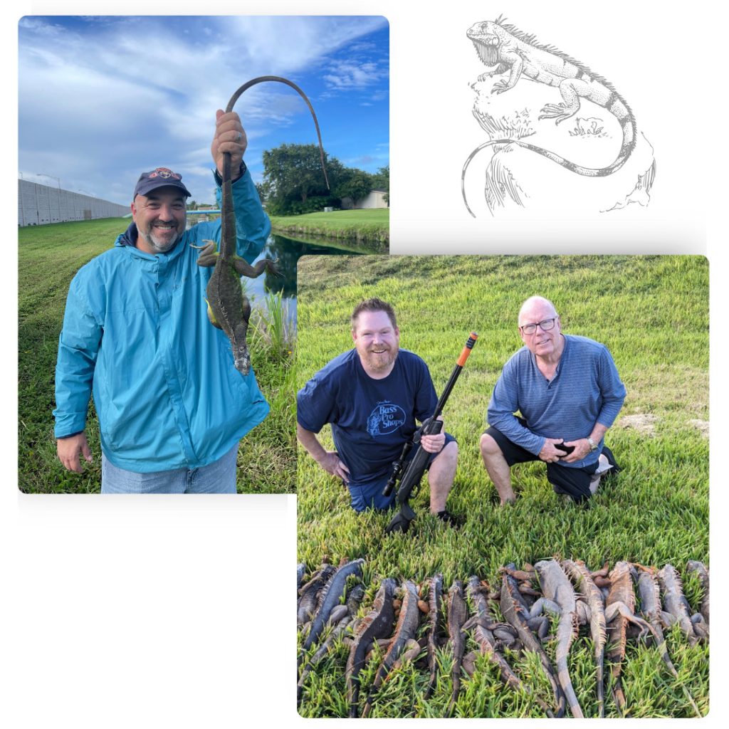 Iguana hunting charter in Miami