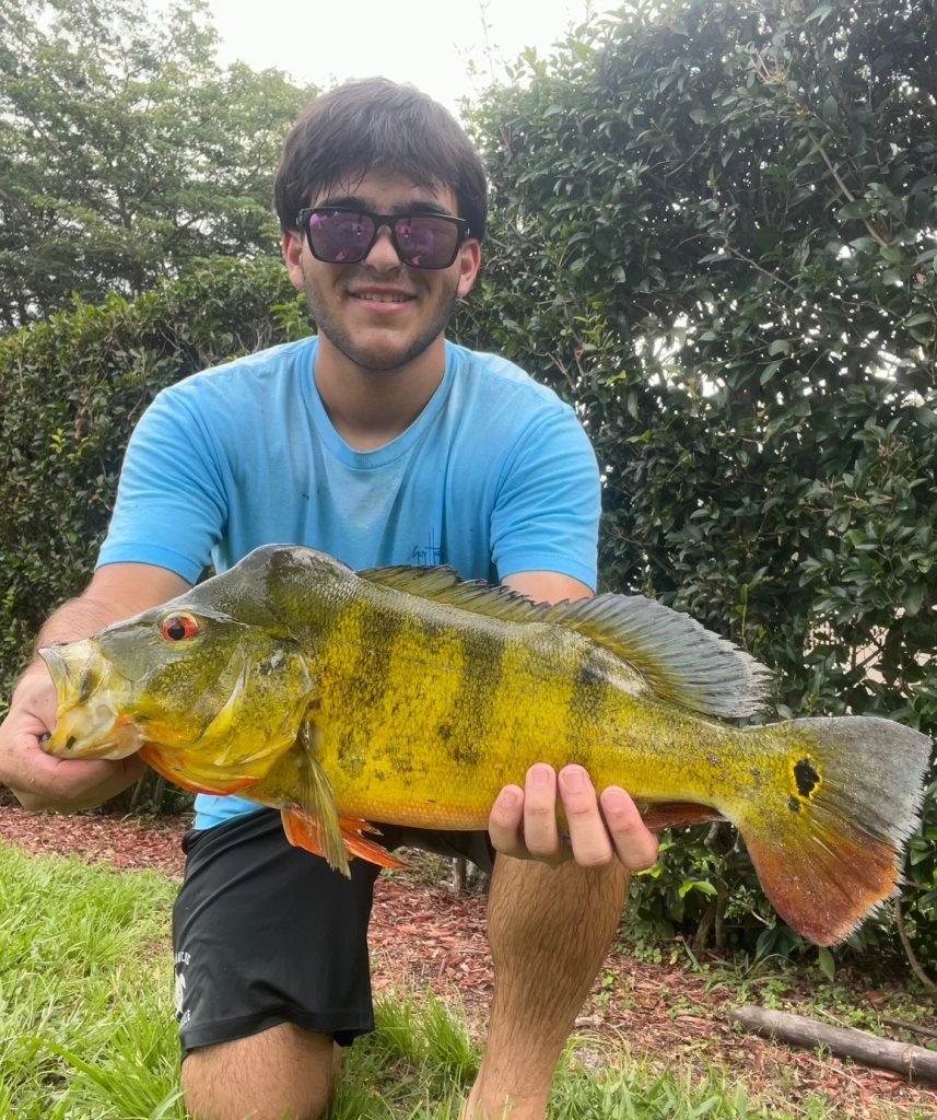 Zach with a big male peacock bass